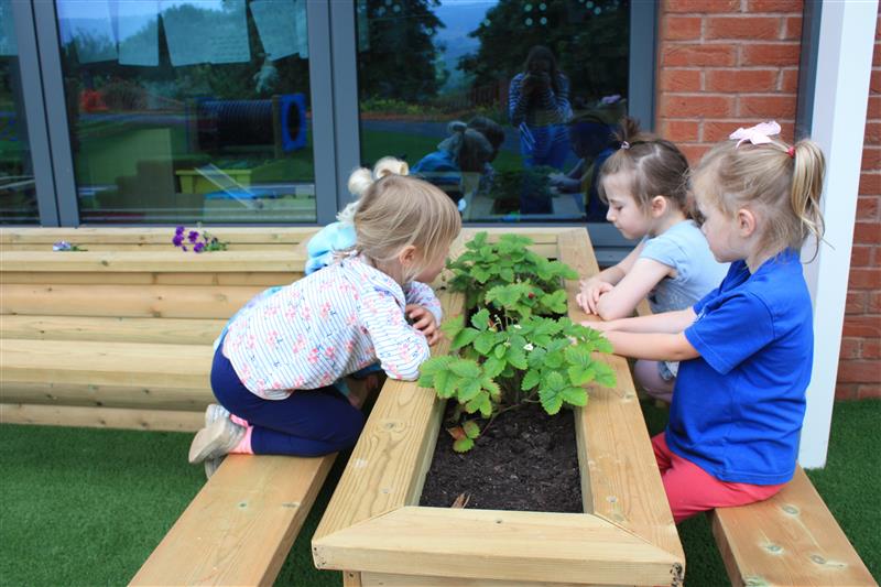 four little girls kneeel around a planter with benches on either side looking into the plants that are growing 