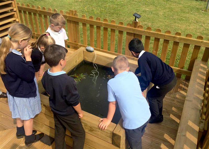 six children gather around a bespoke pond made from timber as they look through the water at the plant life