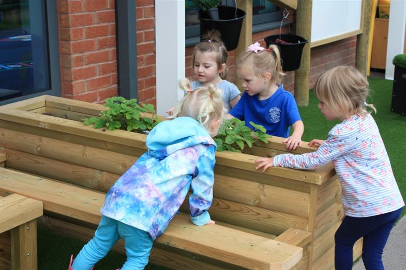 children gather round the timber planter and look at the plants