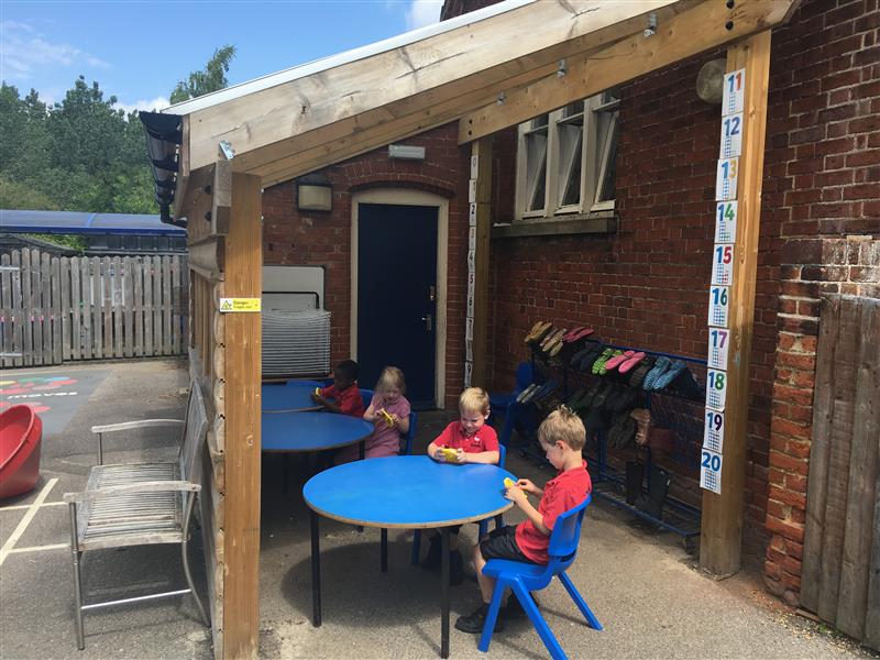 Timber Canopies For Schools