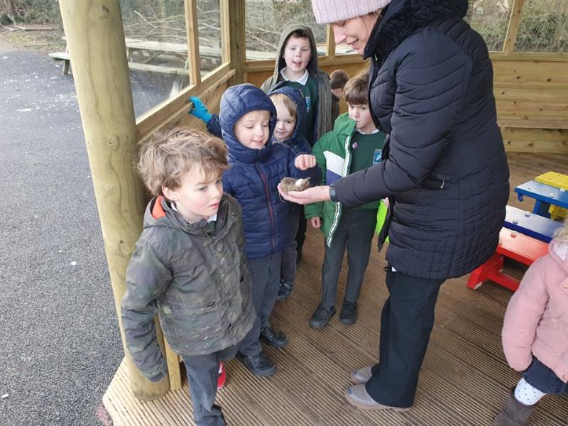 A teacher stood in an outdoor gazebo with their hand out showing five children a pinecone that was found on their forest school lesson