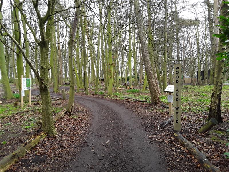 a shot of the entrance to the Belfry woodland space with the woodland signposts