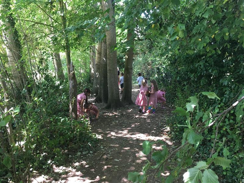 5 girls wearing red summer dressers and 2 boys wearing white polo tops exploring in a school forest which is surrounded by lots of big and tall trees. 