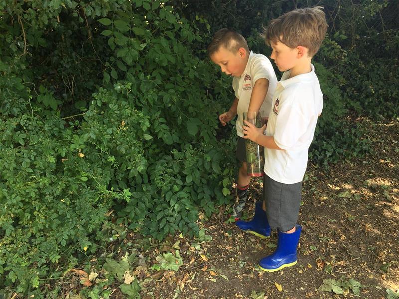 two little boys stand in the forest and take part in a science lesson