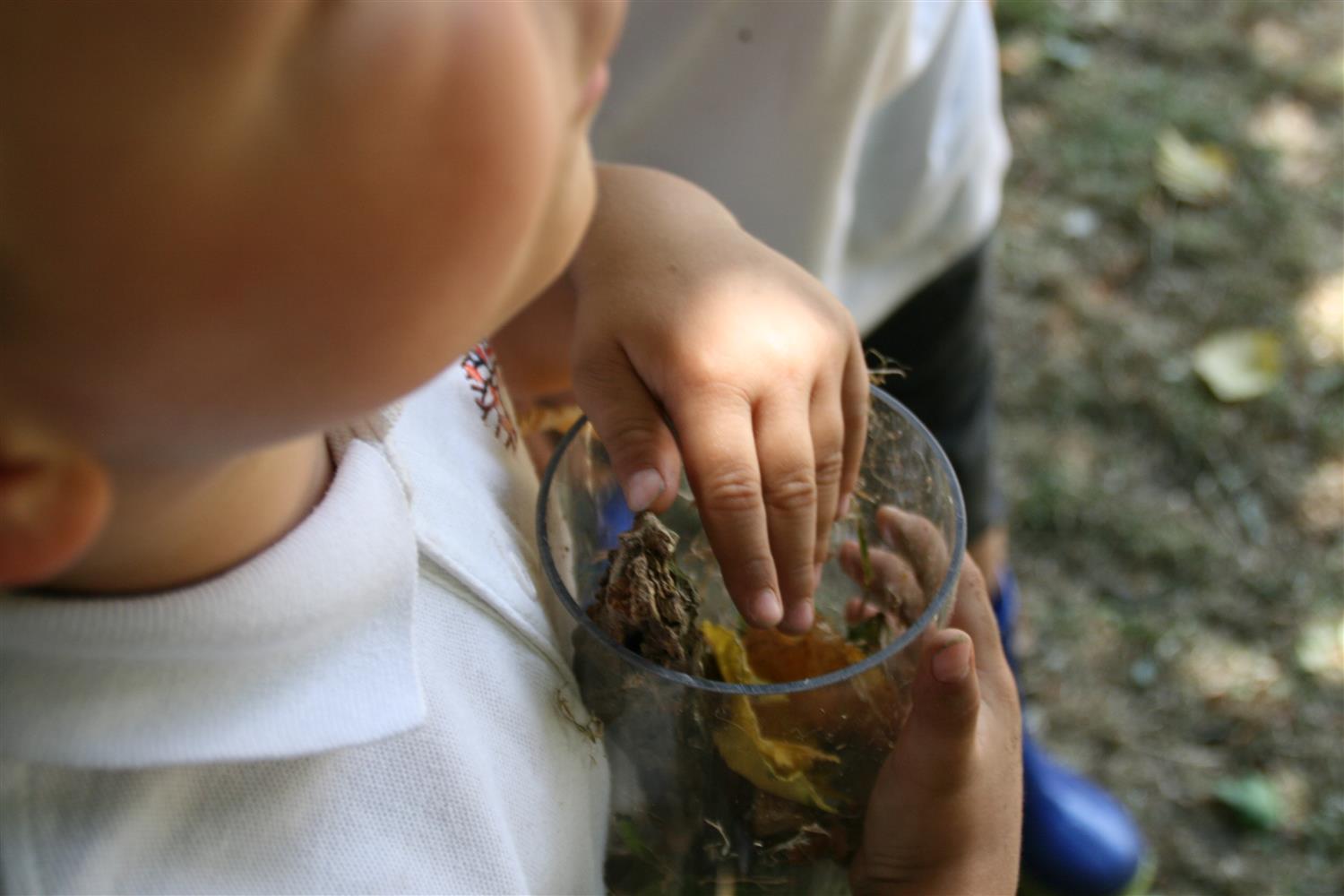 A close up shot which shows a child's hand placing natural materials within a plastic tube. The tube contains a variety of natural materials like sticks, leaves, mud and others. In the background, a child's legs can be seen, showing them stood next to the child filling the plastic tube.