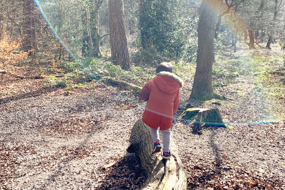 A child stood on a log whilst surrounded by nature
