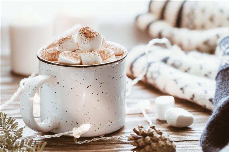 Hot chocolate with marshmallows on top, there is a pinecone in front of the mug.