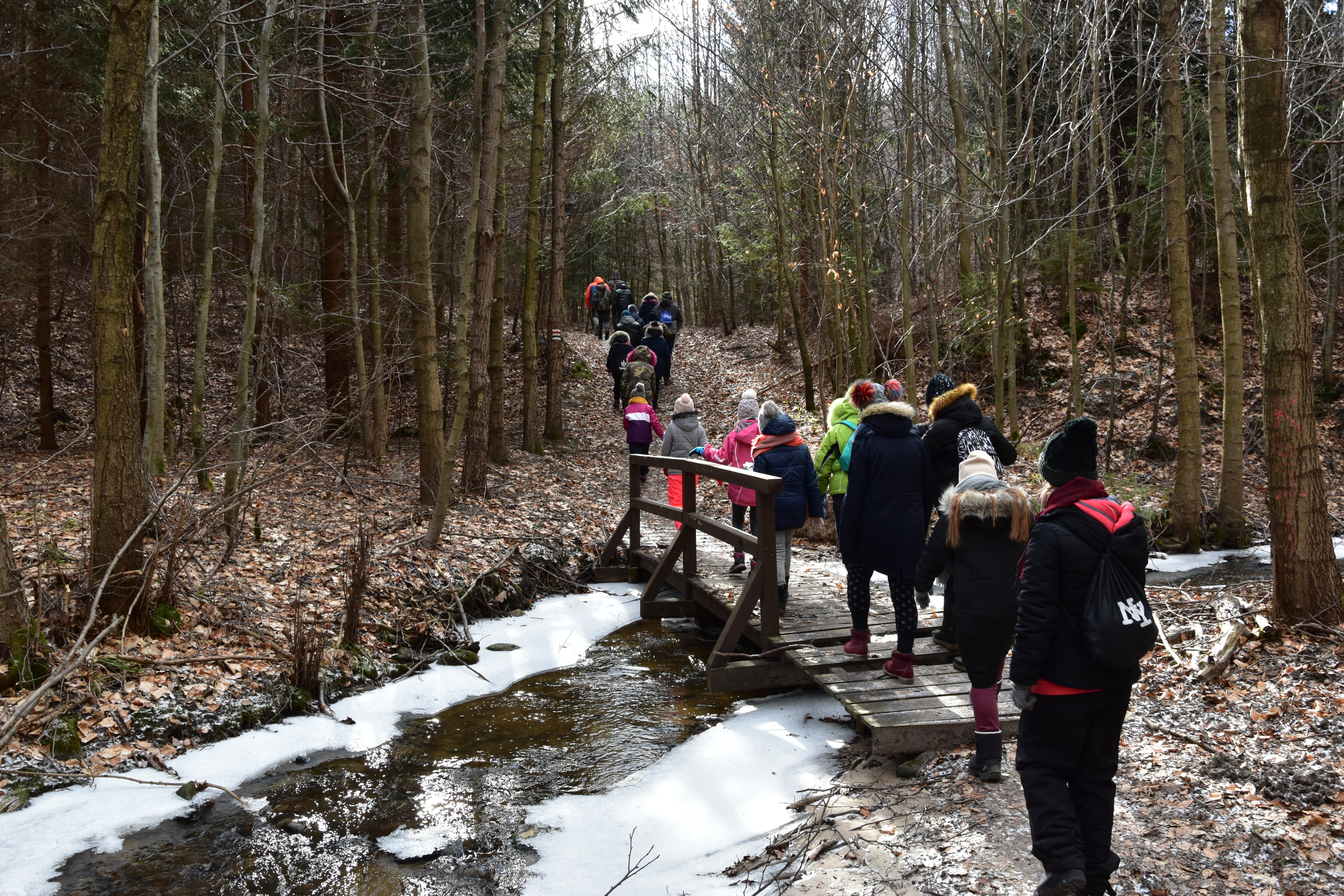 A group of children are going on a nature walk together whilst listening out for new noises.