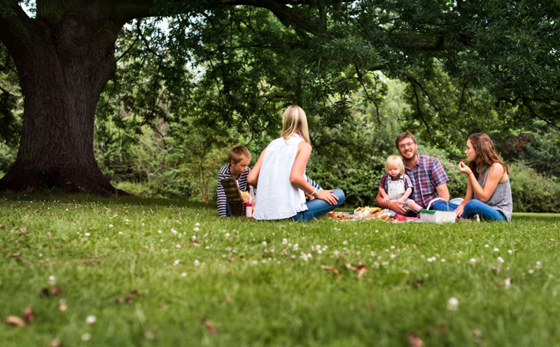 a family sit on the grass in the field and have a picnic together as a family