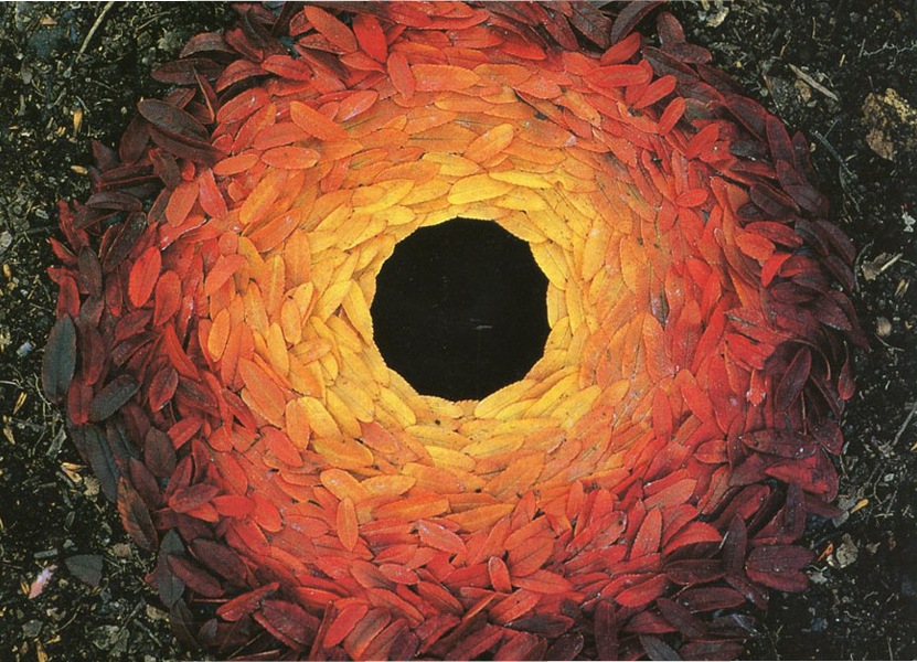 A picture of the Andy Goldsworthy Artwork called "Rowan Leaves and Hole, 1987"