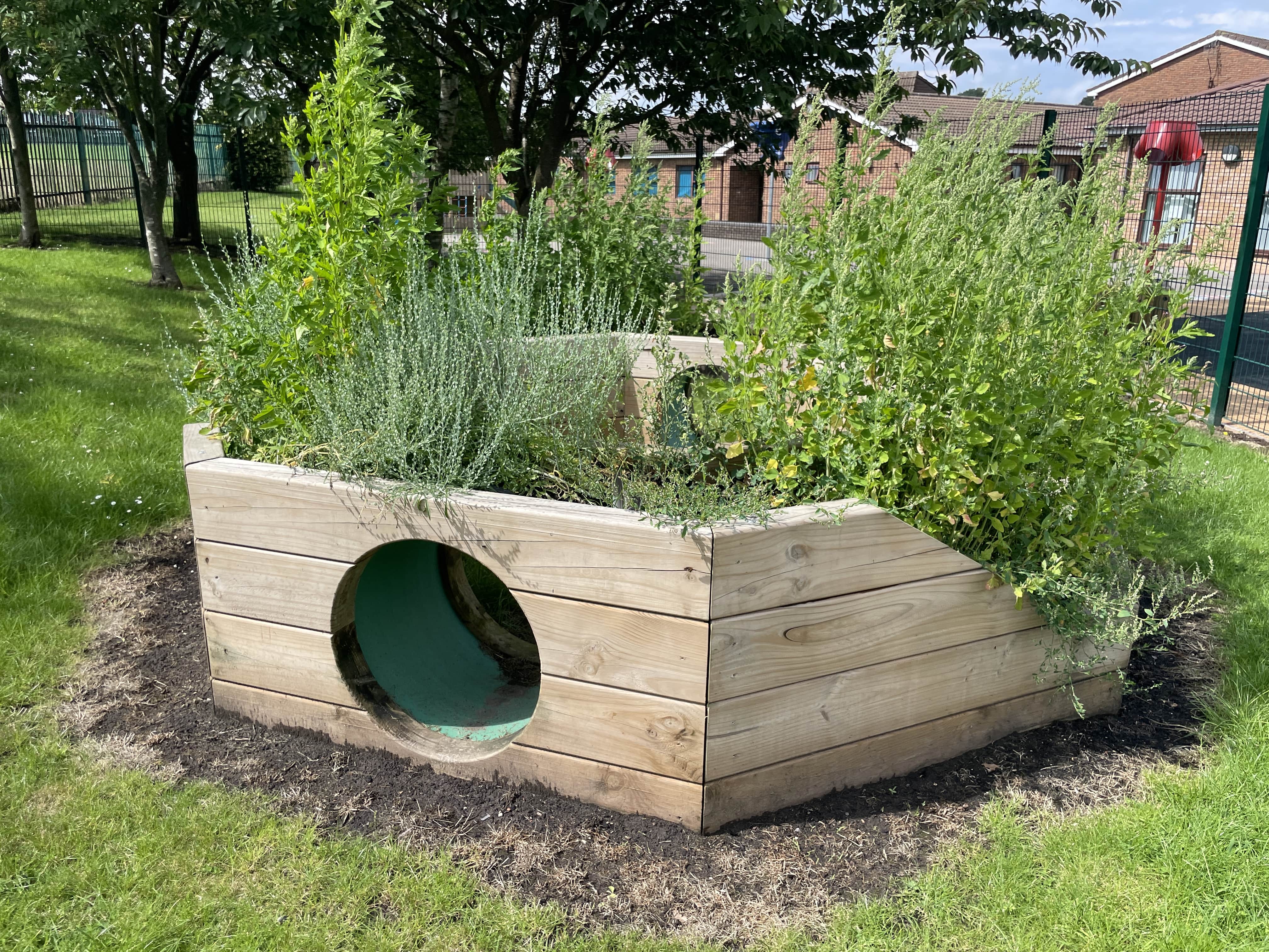 A picture of the immersive planter being installed on a natural grass surfaace. The planter has a tunnel built into te middle of it.