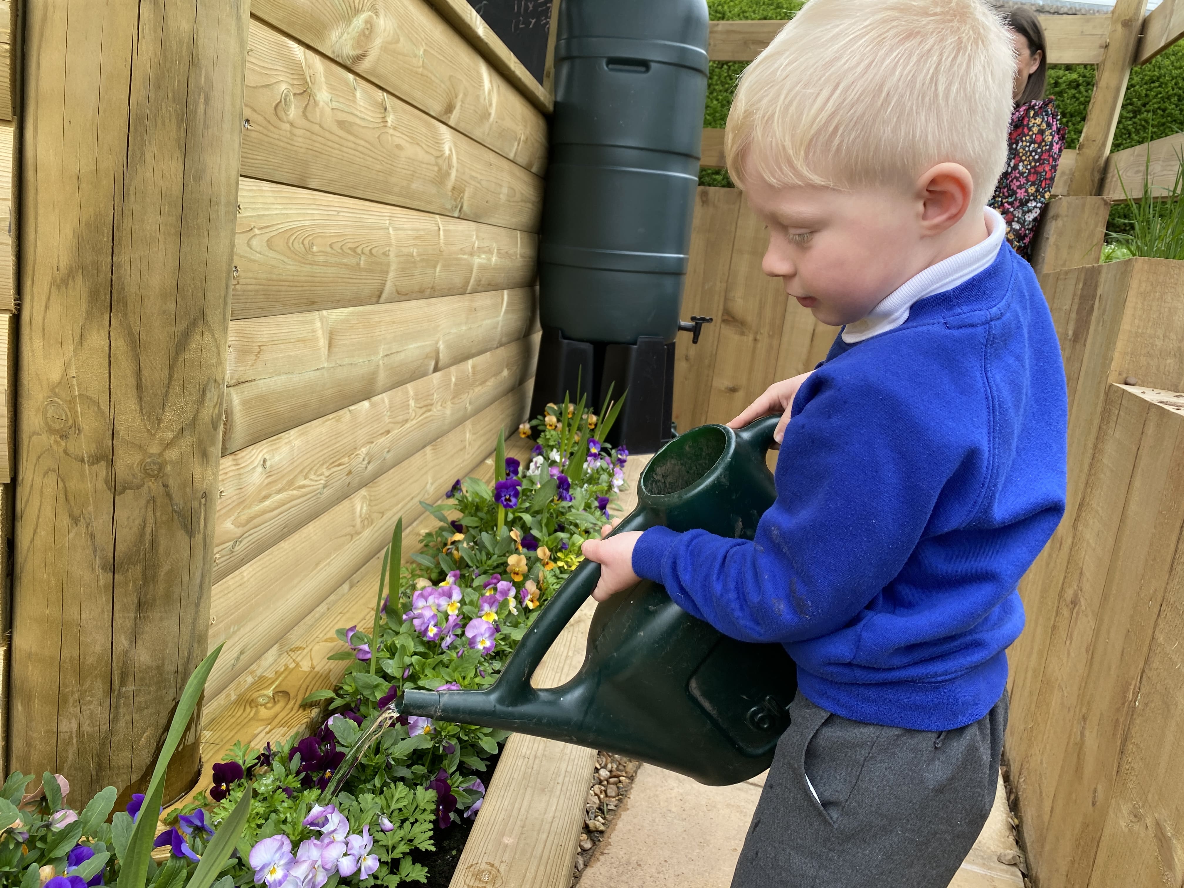 A little boy is pouring water from a watering can onto a bed of flowers. The flowers have been planted in a wooden planter, located next to a wooden gazebo.