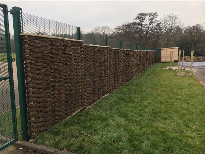 A long line of Willow fencing has been installed at a school. It's covering the green metal fencing of a MUGA.